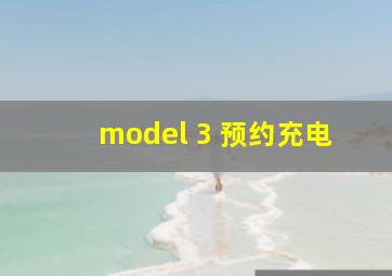 model 3 预约充电